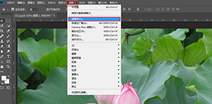 Photoshop制作水彩主題風(fēng)格的荷花圖