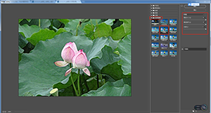 Photoshop制作水彩主題風(fēng)格的荷花圖