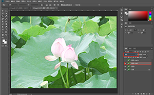 Photoshop制作水彩主題風(fēng)格的荷花圖
