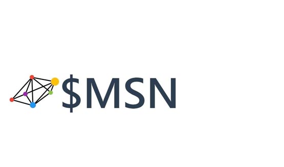 MSN代幣上交易所是真的嗎？