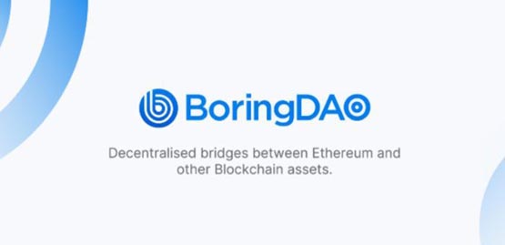 BORING幣發(fā)行量多少？BORING幣發(fā)行總量介紹