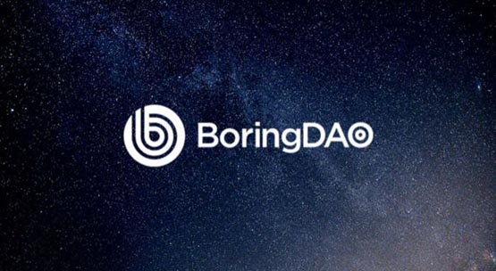 BORING幣發(fā)行價多少？BORING發(fā)行價格介紹