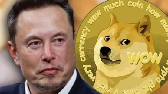 马斯克政府效率部官网露出狗狗币头像!DOGE短时拉涨11.9%