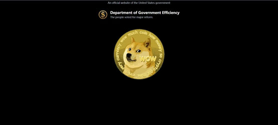 马斯克政府效率部官网露出狗狗币头像!DOGE短时拉涨11.9%