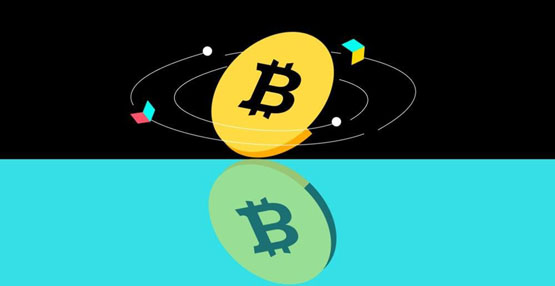 SLP幣價(jià)格會(huì)漲嗎？有可能成為百倍幣嗎？