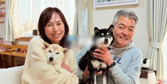 Doge主人推官方柴犬幣COCORO、市值破億后腰斬！社群：Meme幣市場沒救了