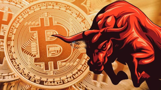 Santiment：比特幣巨鯨開始重新累積BTC！山寨季無(wú)法到來(lái)是meme幣影響？