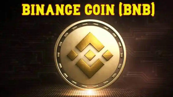 幣安Web3錢包一個月4次打新！投入BNB收益率多少？穩(wěn)賺不賠嗎？