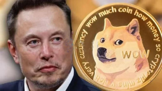 馬斯克：美國沒有計(jì)劃使用狗狗幣！DOGE近24小時跌幅達(dá)4.1%