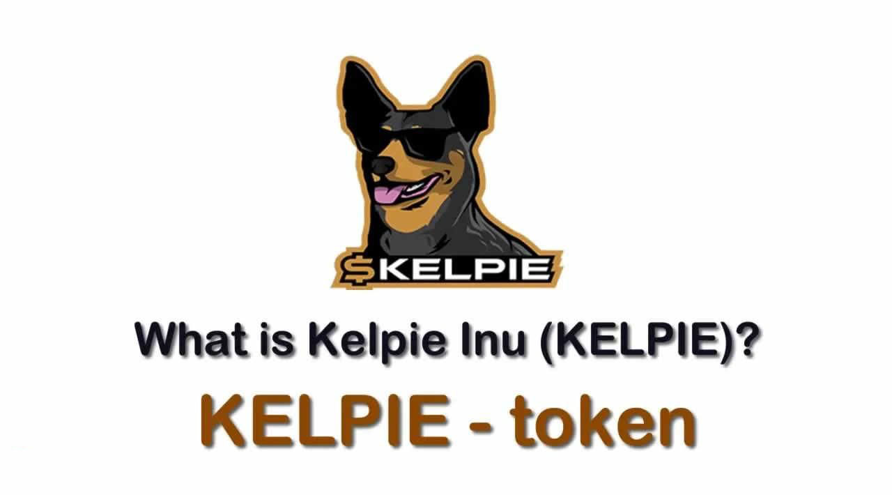 KELPIE是什么幣種？一文了解KELPIE幣