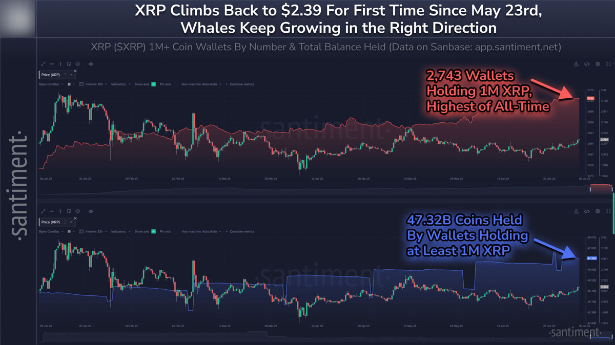 XRP vs ETH：哪種代幣在巨鯨推動的行情中表現(xiàn)更佳？