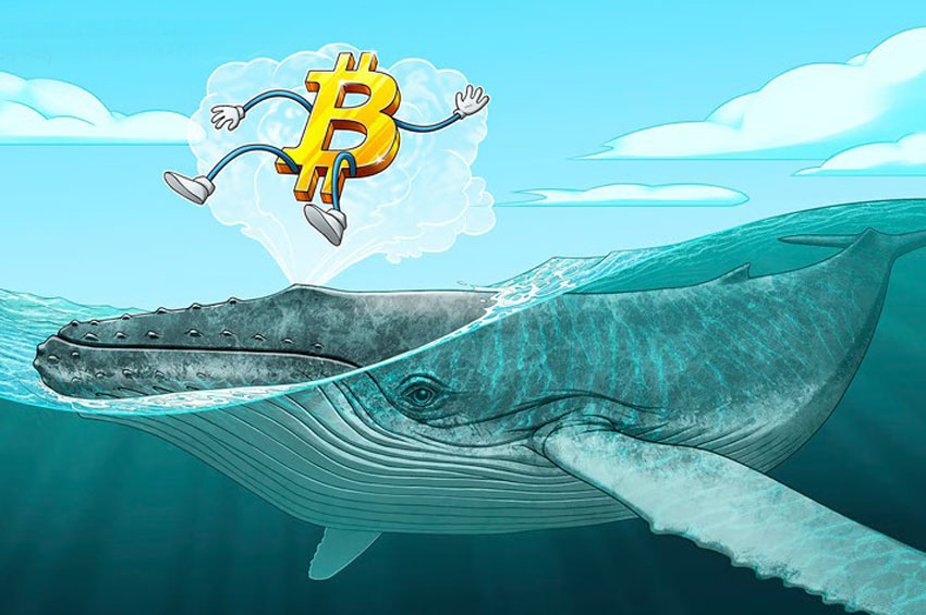 元老級(jí)比特幣(BTC)玩家“信心動(dòng)搖”評(píng)論引發(fā)社區(qū)熱議