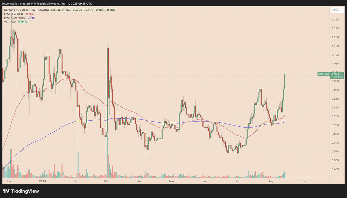 卡爾達諾（Cardano）分析師預測：未來數(shù)周或?qū)⒂瓉?50%的“強勢牛市反彈”