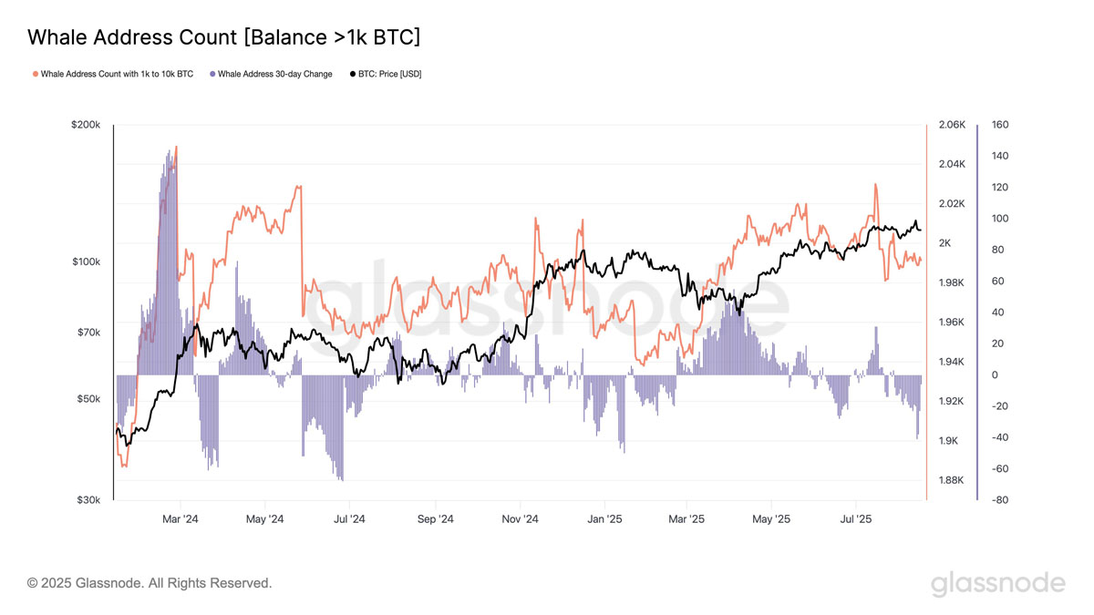 比特幣（BTC）價(jià)格上升楔形破位：一文搞清楚BTC會(huì)跌至何處？