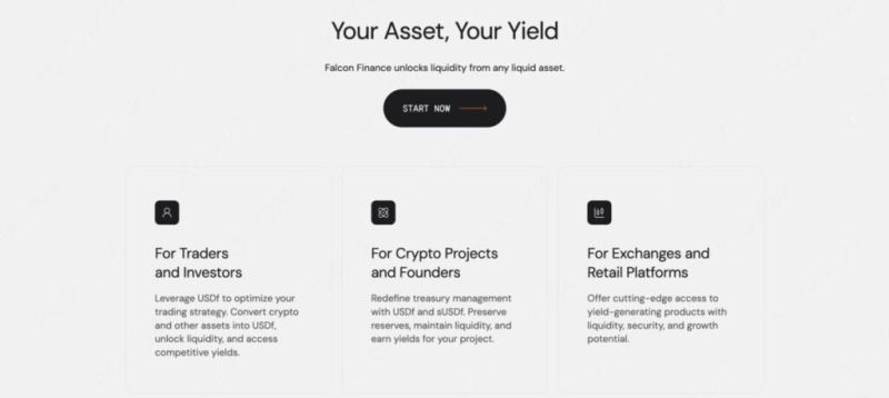 Falcon Finance詳細介紹