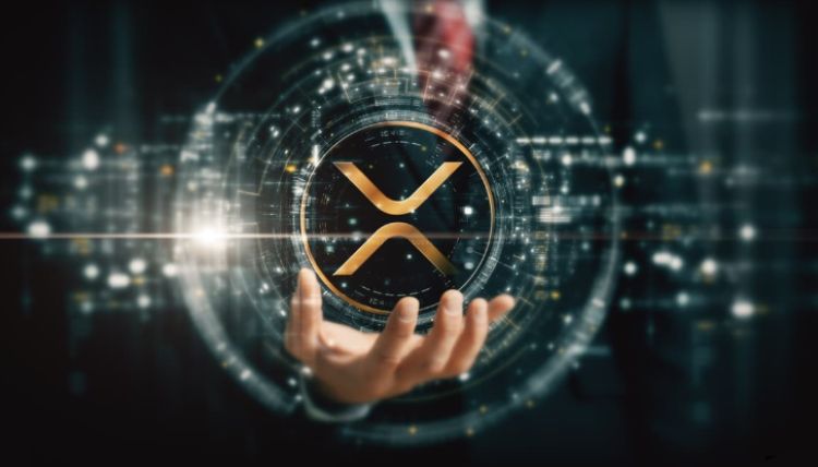 XRP籌 碼分布介紹
