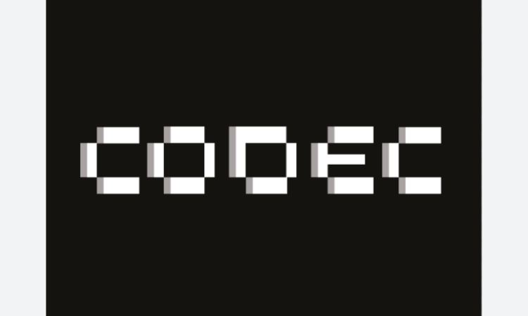 Codec Flow (CODEC)