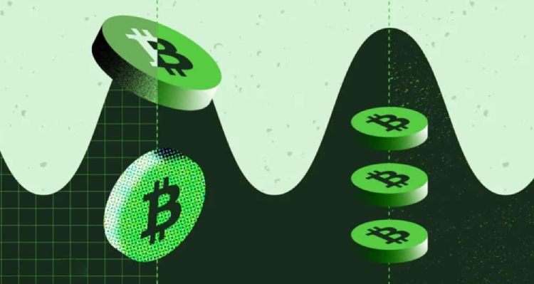 幣圈重倉新手科普