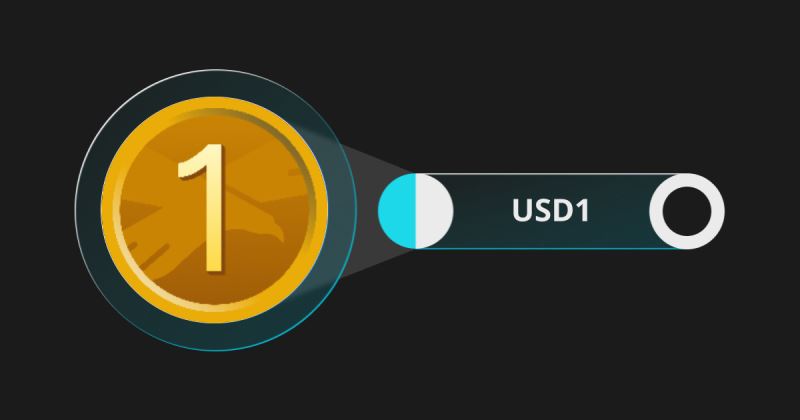 什么是USD1穩(wěn)定幣？與其他穩(wěn)定幣有什么不同？市場前景如何？
