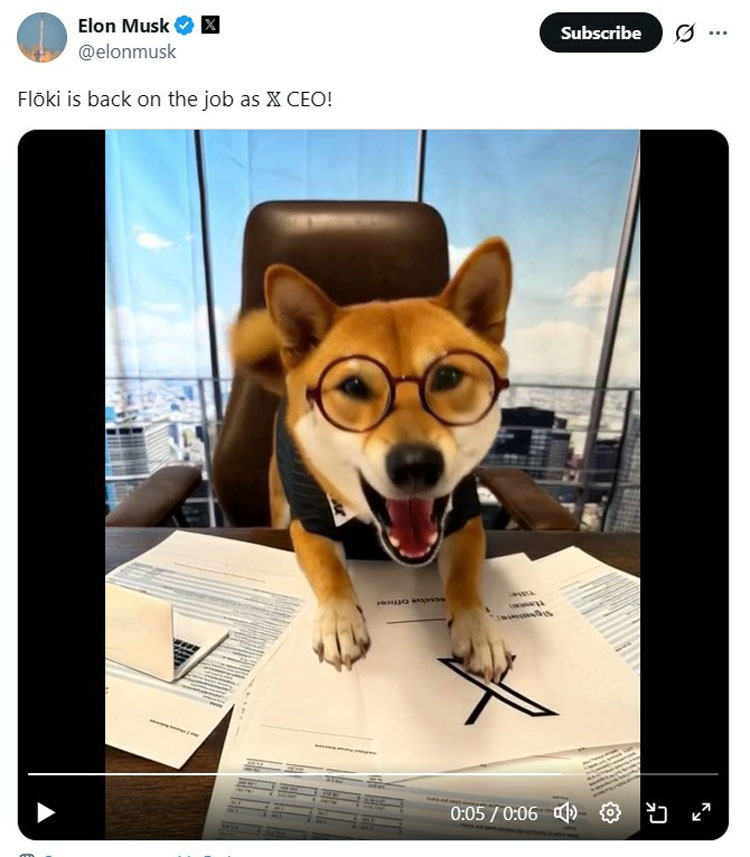 模因幣單日飆升29%