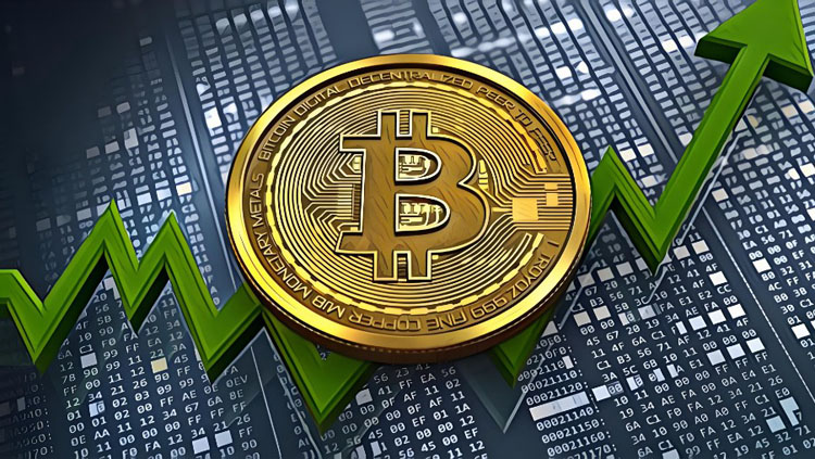 对话ProCap BTC合伙人:比特币牛市尚未结束 回调将比以往更温和