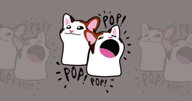 什么是POPCAT？怎么買？POPCAT工作原理、代幣經(jīng)濟(jì)學(xué)及未來前景