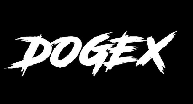 什么是迷因幣DOGEX？DOGEX代幣經(jīng)濟(jì)學(xué)及2025價(jià)格預(yù)測(cè)