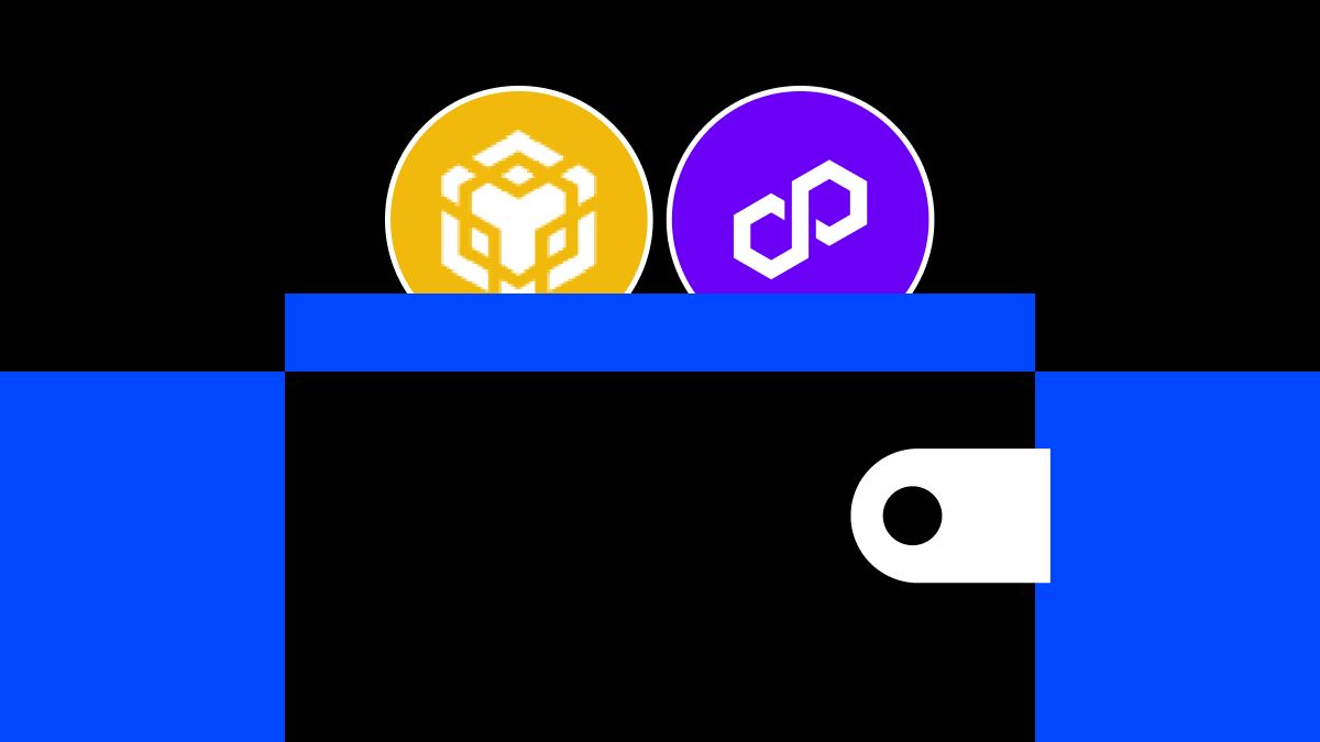 如何將 MetaMask 連接到 BNB、Polygon 和其他支持的區(qū)塊鏈：詳細(xì)指南