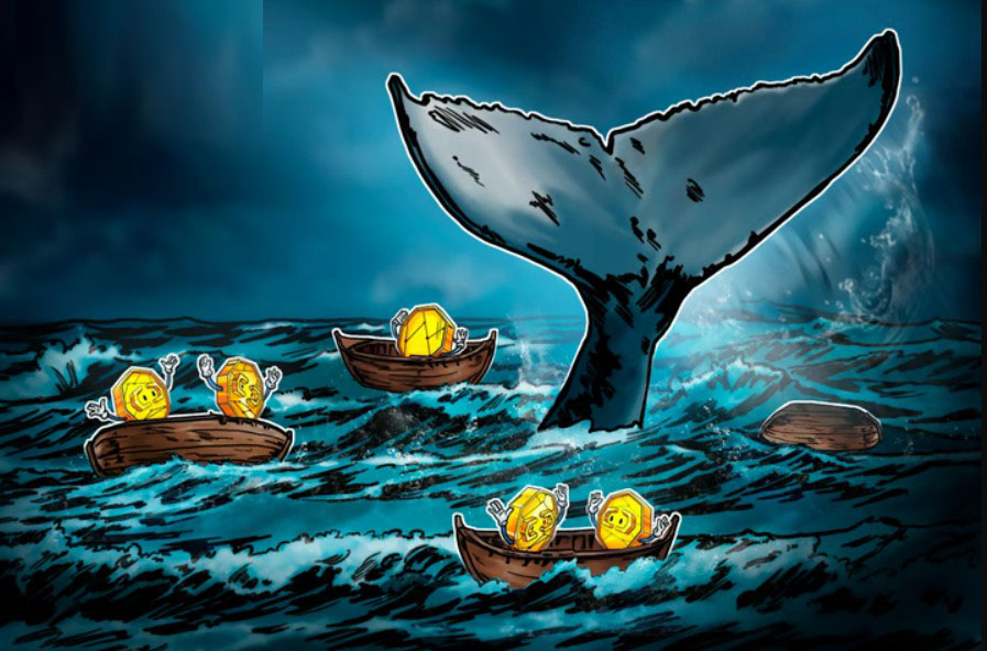 最大的比特幣（BTC）巨鯨真的能決定市場何時變成綠色或紅色嗎？