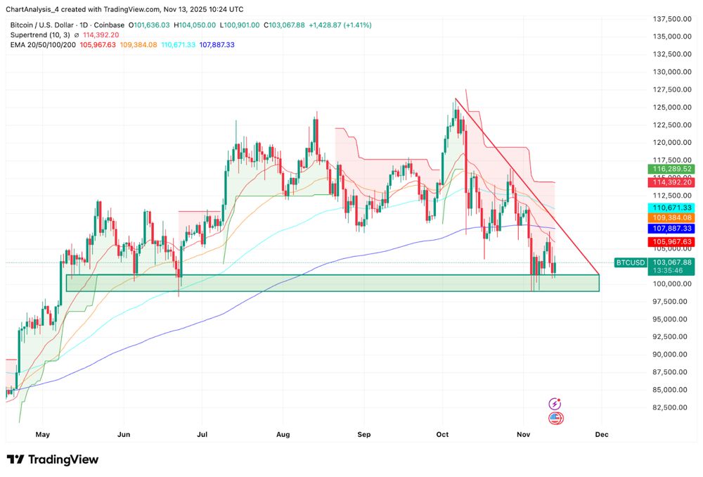 比特幣價(jià)格預(yù)測(cè)：買家堅(jiān)守10萬美元關(guān)口，市場(chǎng)恐慌情緒蔓延。2025.11.13