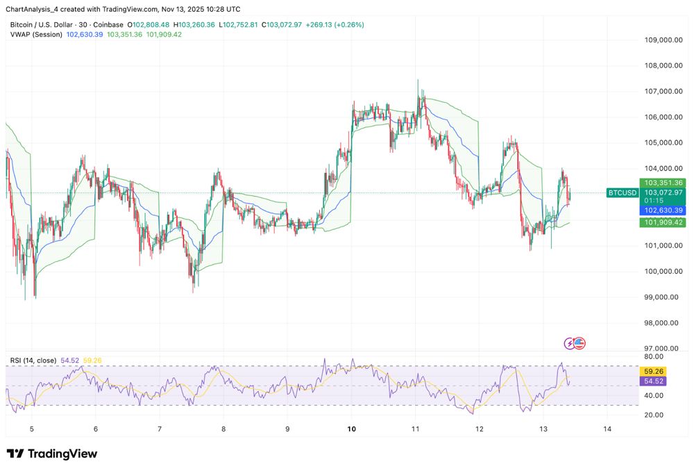 比特幣價(jià)格預(yù)測(cè)：買家堅(jiān)守10萬美元關(guān)口，市場(chǎng)恐慌情緒蔓延。2025.11.13_圖4