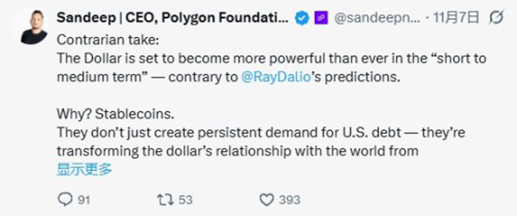 数字美元:扩张、挣扎与未来