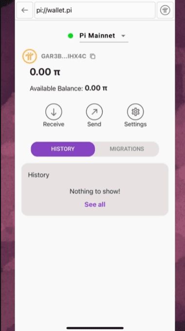 如何設(shè)置 Pi 錢(qián)包：逐步指南_圖8