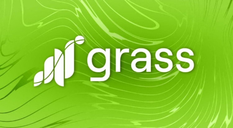 11月熱門空投活動