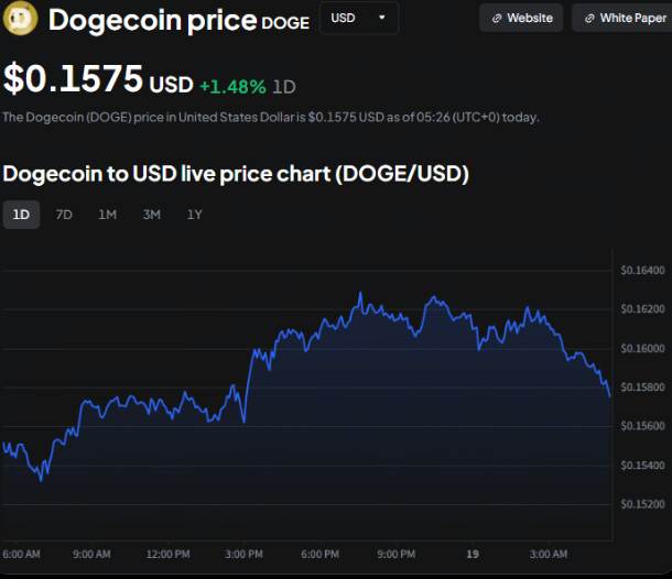 山寨幣的歷史_圖2