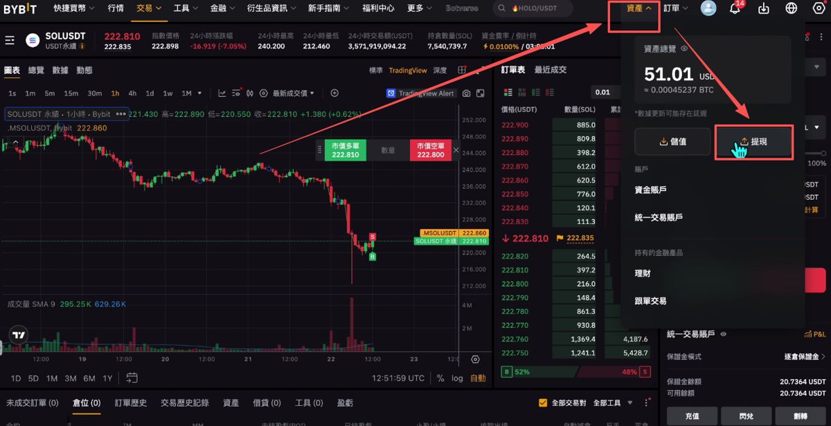 Bybit（電腦版/網(wǎng)頁版）交易所充值和提現(xiàn)操作方法_圖20