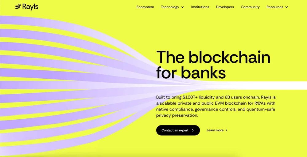 Rayls(RLS)币详细介绍