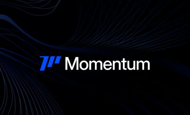 Momentum(MMT)币具体介绍
