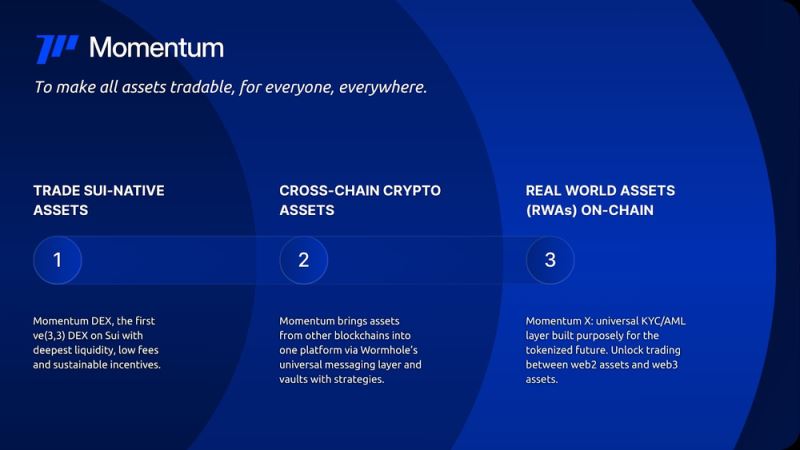 Momentum(MMT)币具体介绍