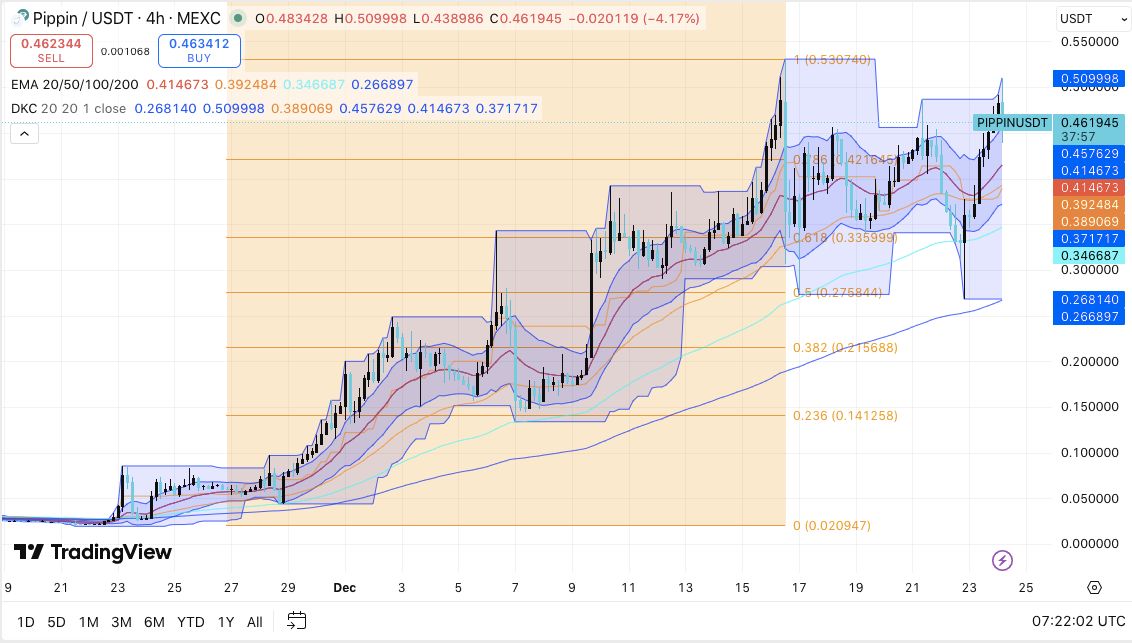 PIPPIN价格预测:随着大户重仓做多,Pippin前景走强 2025.12.24