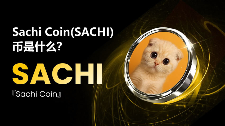 Sachi Coin(SACHI)币是什么?值得投资吗?SACHI币价格分析与预测