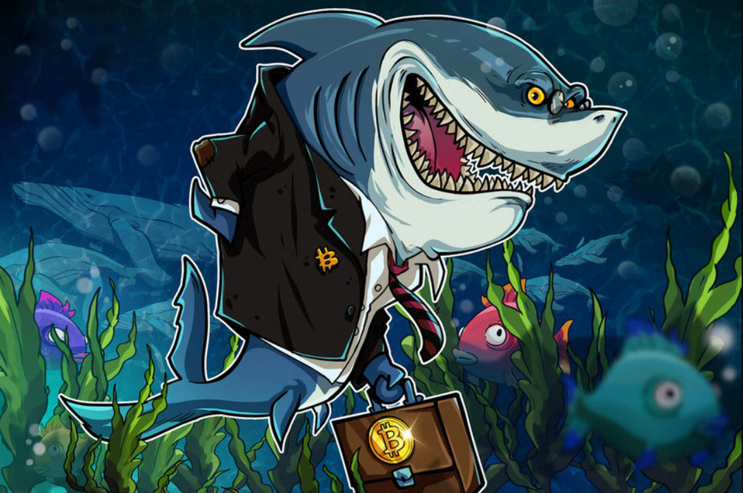 比特幣大鱷如2013年般瘋狂囤積BTC，盡管已陷入“完美多頭陷阱”