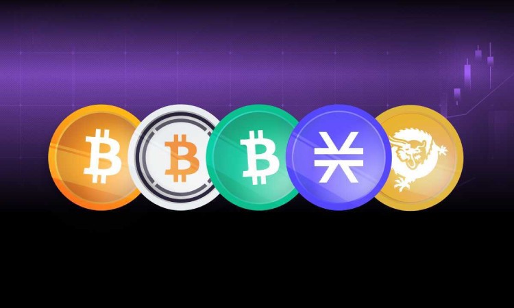 比特幣生態(tài)頂級代幣