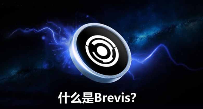 什么是 Brevis 网络?ZK 引擎助力数据驱动型应用,一文介绍