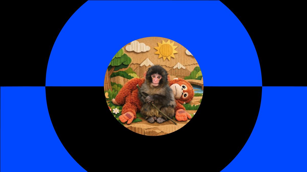 什么是 Punch (PUNCH) 迷因币?如何运作?风险介绍