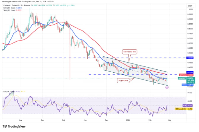 热门加密货币价格走势预测:比特币、以太坊、币安币、Solana等