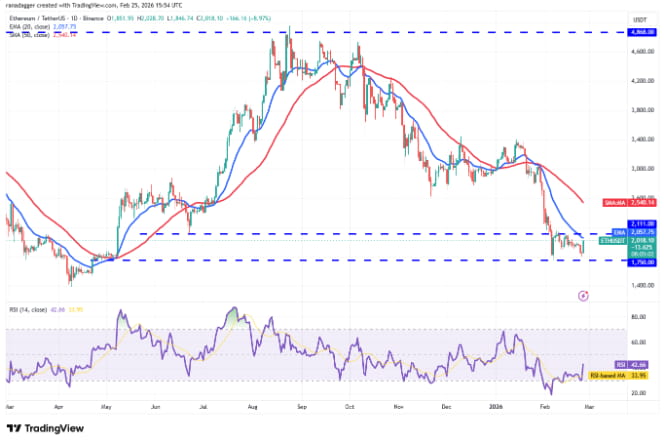 热门加密货币价格走势预测:比特币、以太坊、币安币、Solana等