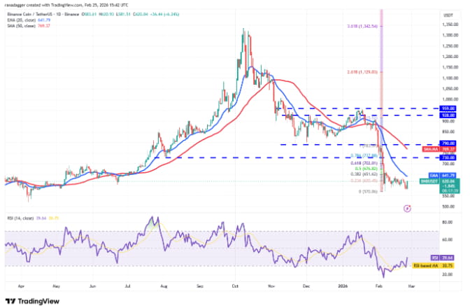 热门加密货币价格走势预测:比特币、以太坊、币安币、Solana等