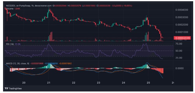 2026年NICE展望:价格下跌后会再度上涨吗?