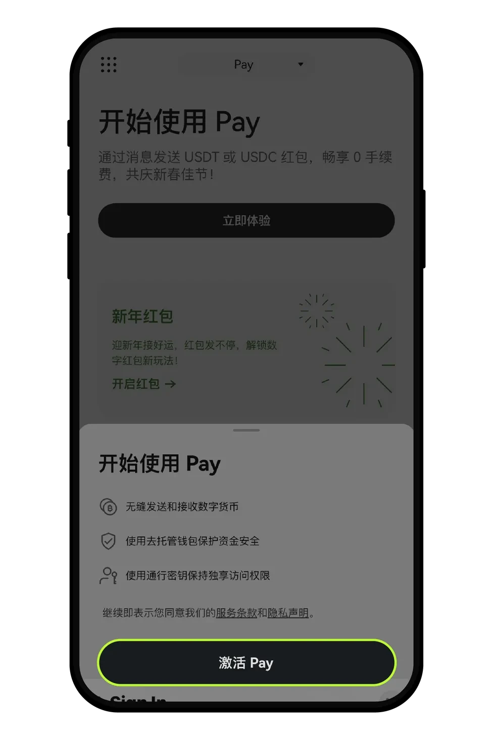 步骤 2:根据操作提示激活 Pay 账户: